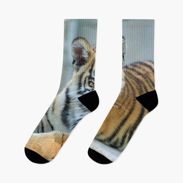 Item preview, Tiger 003 designed and sold by JAMFoto.