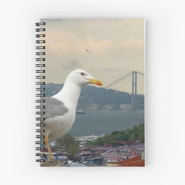 Item preview, Seagull and Bosphorus Bridge, Istanbul designed and sold by Zoe Marlowe.