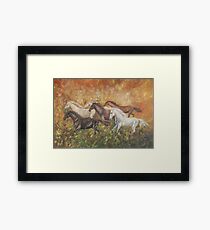 Wild horses Framed Print