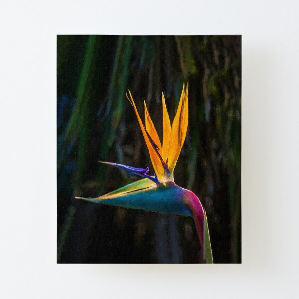 Bird of Paradise Flower (digital painting) Canvas Mounted Print