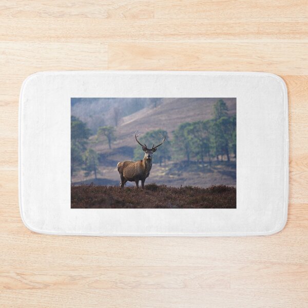 Item preview, Red Deer Stag designed and sold by Macrae images.