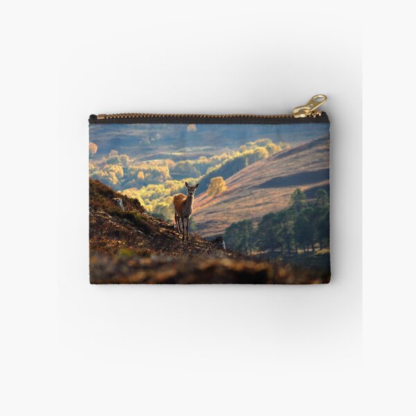 Item preview, Red Deer Calf designed and sold by Macrae images.
