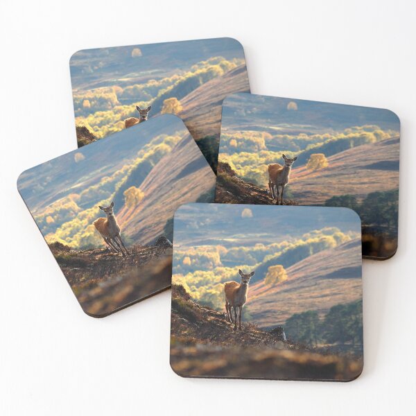 Item preview, Red Deer Calf designed and sold by Macrae images.