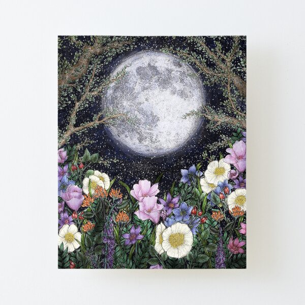 Midnight in the Garden II Canvas Mounted Print