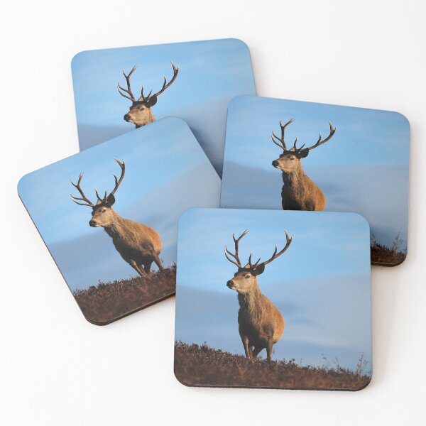 Item preview, Highland Stag designed and sold by Macrae images.
