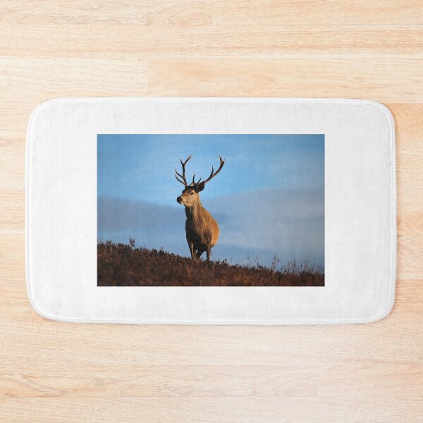 Item preview, Highland Stag designed and sold by Macrae images.