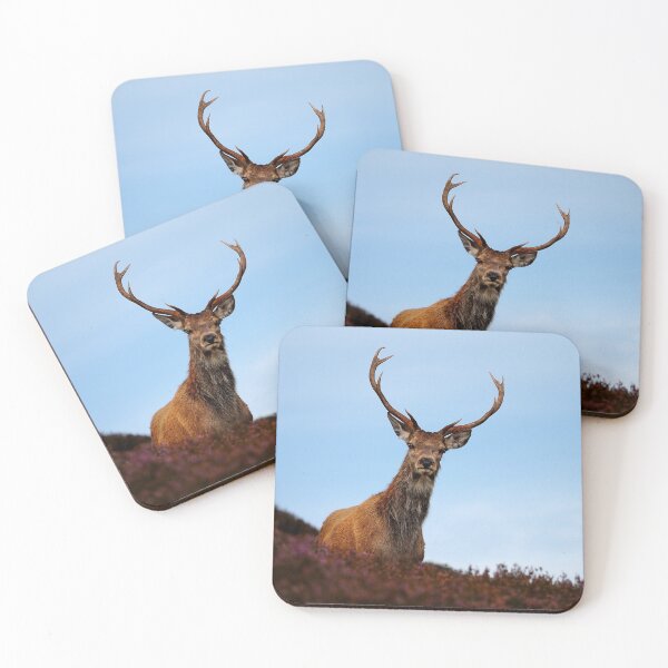 Item preview, Red Deer Stag designed and sold by Macrae images.