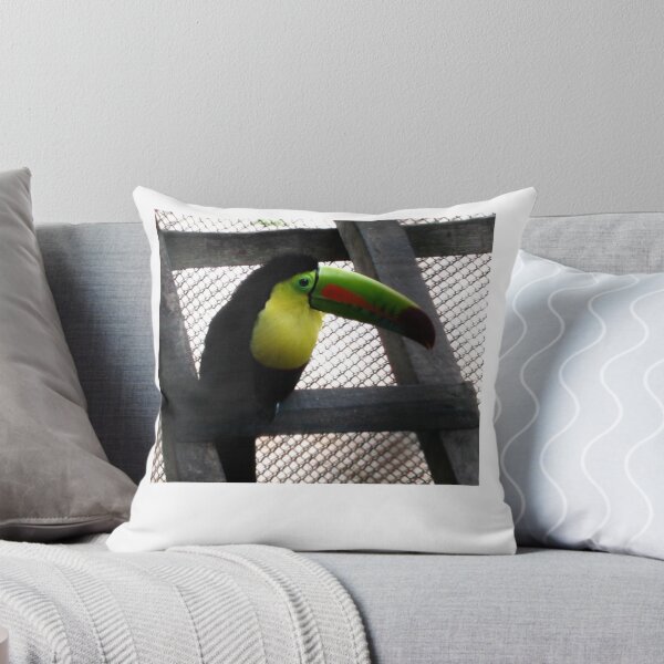 Item preview, TOUCAN IN PUERTO RICO BIRD SANCTUARY designed and sold by JAYMILO.