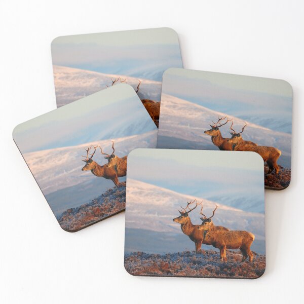 Item preview, Red Deer Stags designed and sold by Macrae images.
