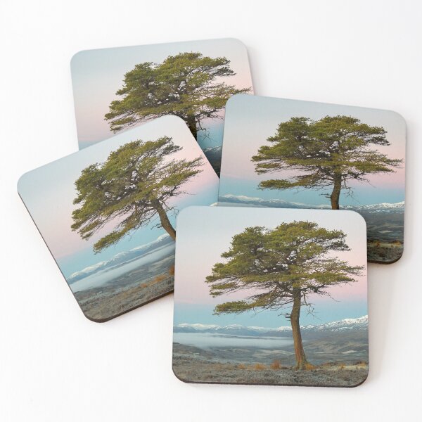 Item preview, Scots Pine Strathglass designed and sold by Macrae images.