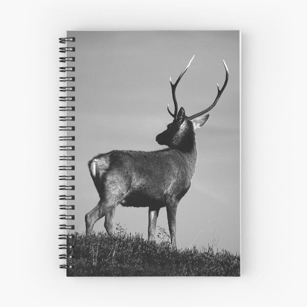 Item preview, Black and White Stag designed and sold by Macrae images.
