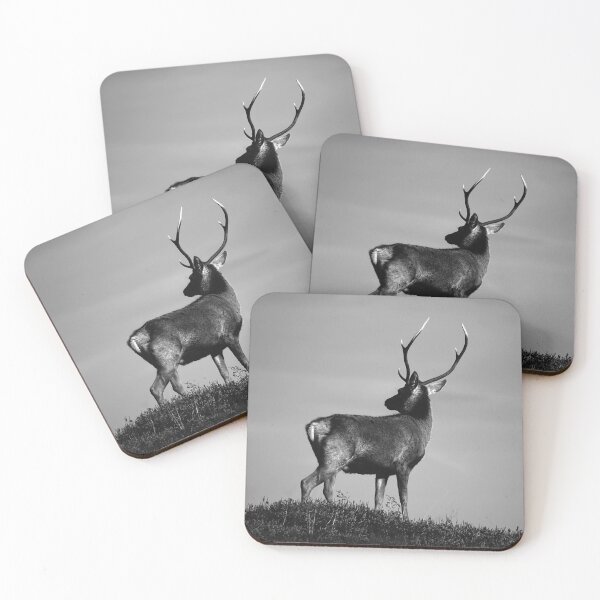 Item preview, Black and White Stag designed and sold by Macrae images.