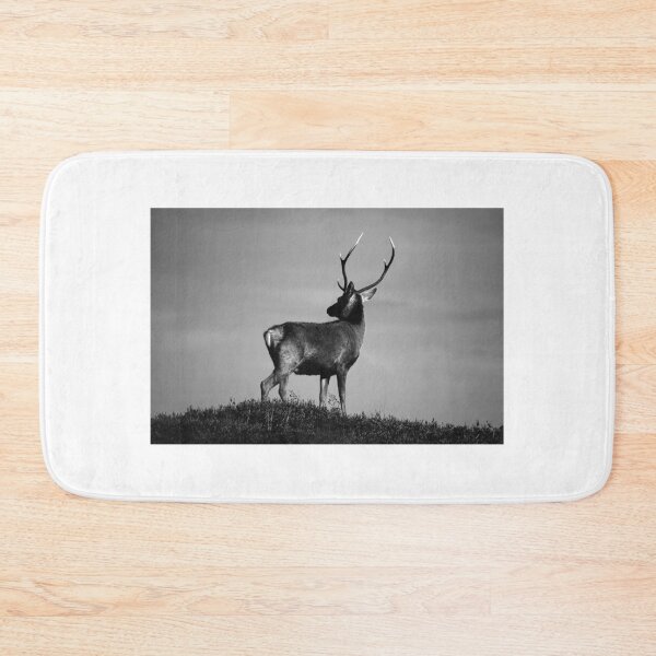 Item preview, Black and White Stag designed and sold by Macrae images.