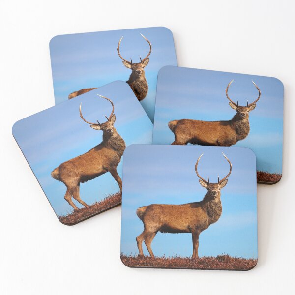 Item preview, Red Deer Stag designed and sold by Macrae images.
