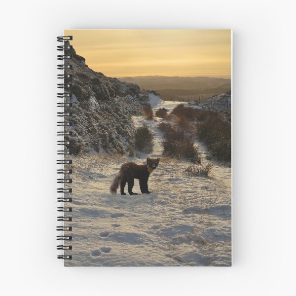 Item preview, The pine marten's path designed and sold by Macrae images.