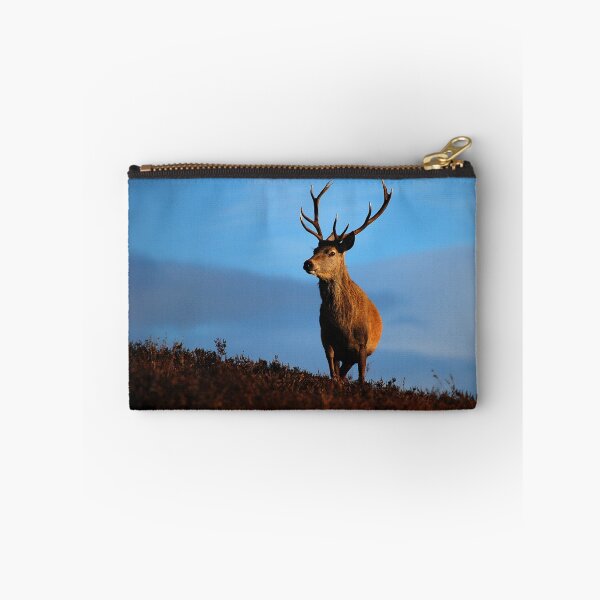 Item preview, Red Deer Stag designed and sold by Macrae images.