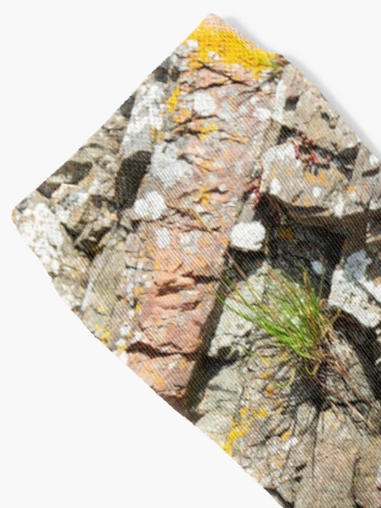 Thumbnail 2 of 5, Socks, A slice of geology designed and sold by SiobhanFraser.