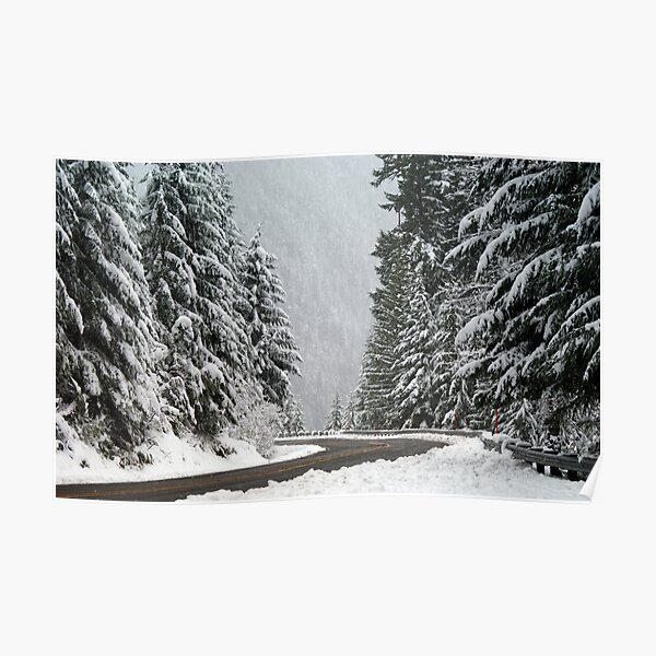 Along Winter Way Poster