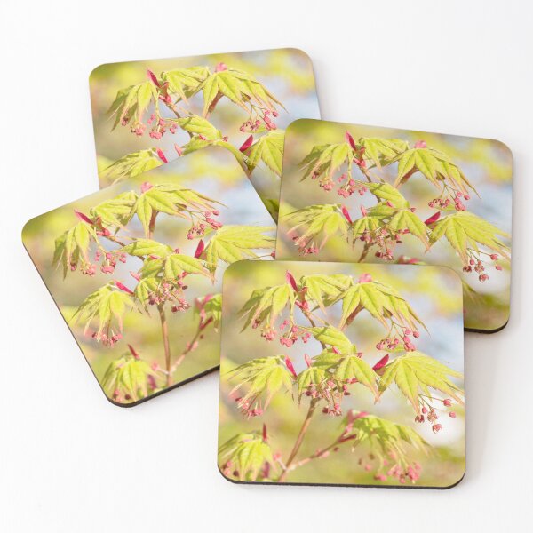 Item preview, Renewal designed and sold by Linda Lees.