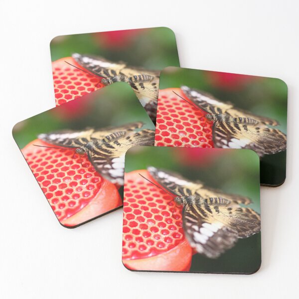 Item preview, Clipper on a nectar feeder designed and sold by GreyFeatherPhot.