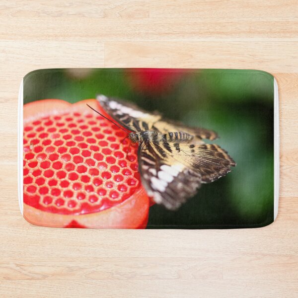 Item preview, Clipper on a nectar feeder designed and sold by GreyFeatherPhot.