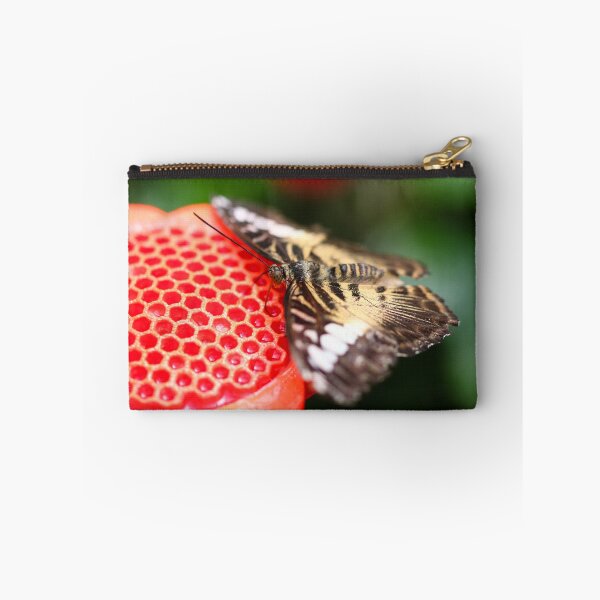 Item preview, Clipper on a nectar feeder designed and sold by GreyFeatherPhot.