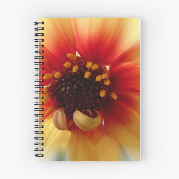 Item preview, Circulate Your Soul Around designed and sold by Denise Abé.