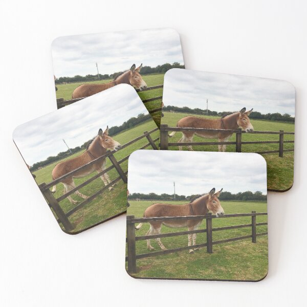Item preview, Zeedonk Zebra Donkey - Animal Photography designed and sold by MysticMagpie.