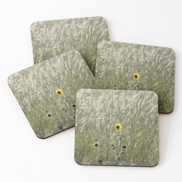 Item preview, After Summer designed and sold by Catherine Kerr.
