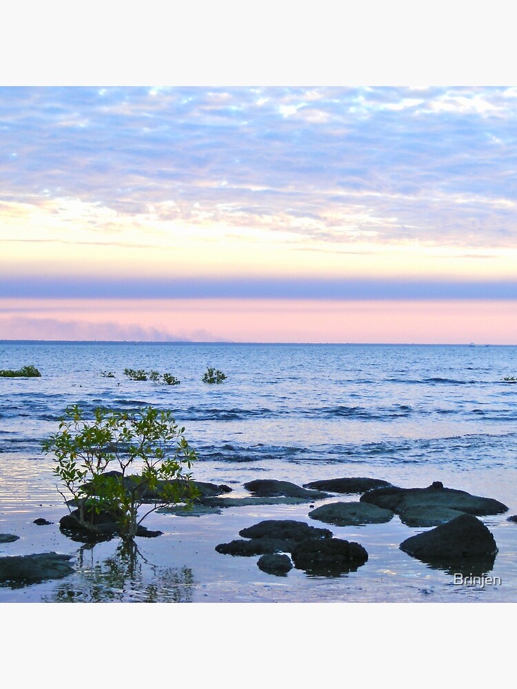 Nightcliff Sunset by Brinjen