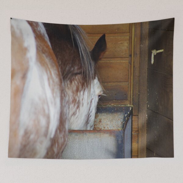 Item preview, The workhorse designed and sold by Penny Kittel.