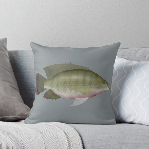 Item preview, Redbreast Tilapia designed and sold by fishfolkart.