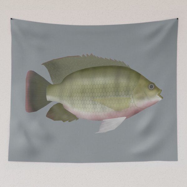 Item preview, Redbreast Tilapia designed and sold by fishfolkart.