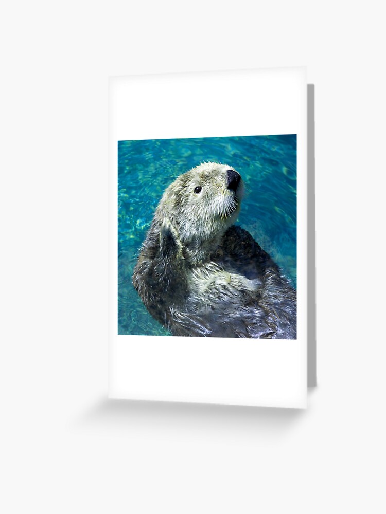 Otter Fans Design Greeting Card for Sale by MerchGiants