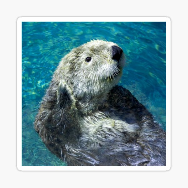 Artikel-Vorschau von Entzückender Seeotter süßes blaues Wasser, designt und verkauft von mwagie.
