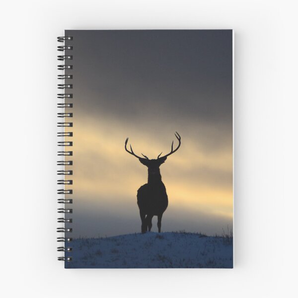 Item preview, Stag Silhouette  designed and sold by Macrae images.