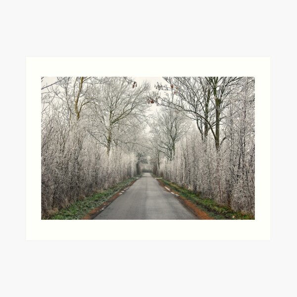 Hoarfrost Art Print