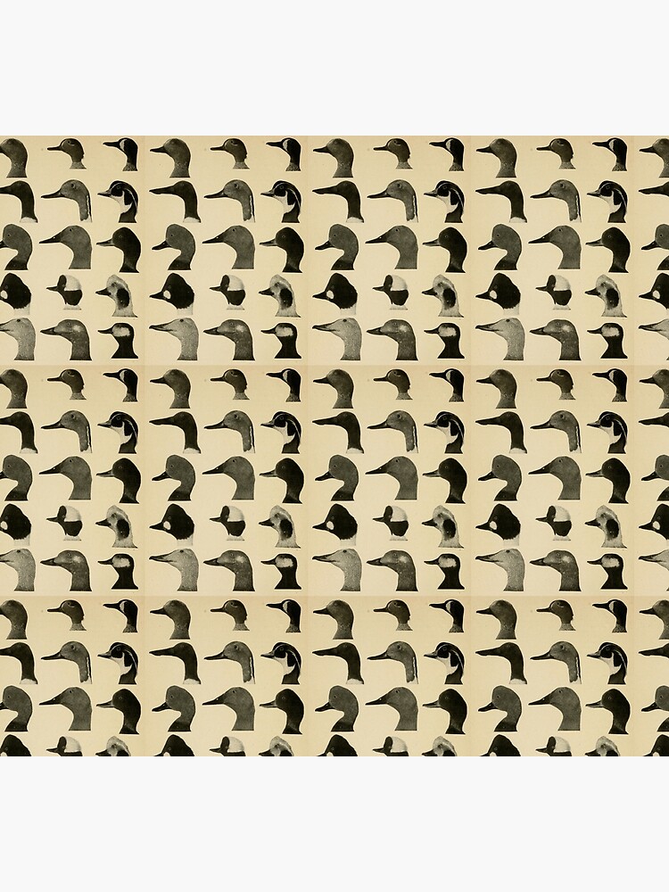 Vintage Duck Heads by bluespecsstudio