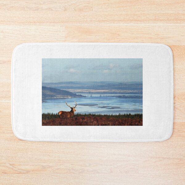 Item preview, Stag Overlooking the Beauly Firth and Inverness designed and sold by Macrae images.