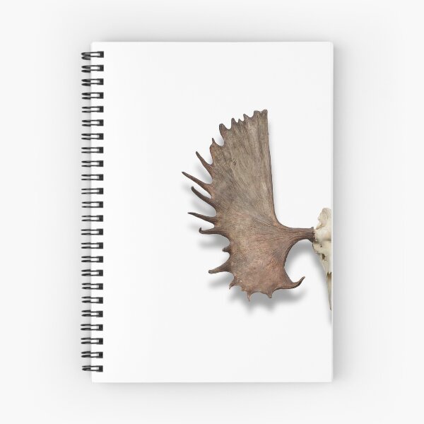 Item preview, Alaskan Moose Skull designed and sold by AHSstore.
