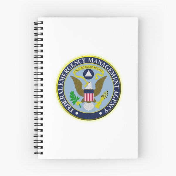 Item preview, FEMA Seal designed and sold by Lawrence Baird.