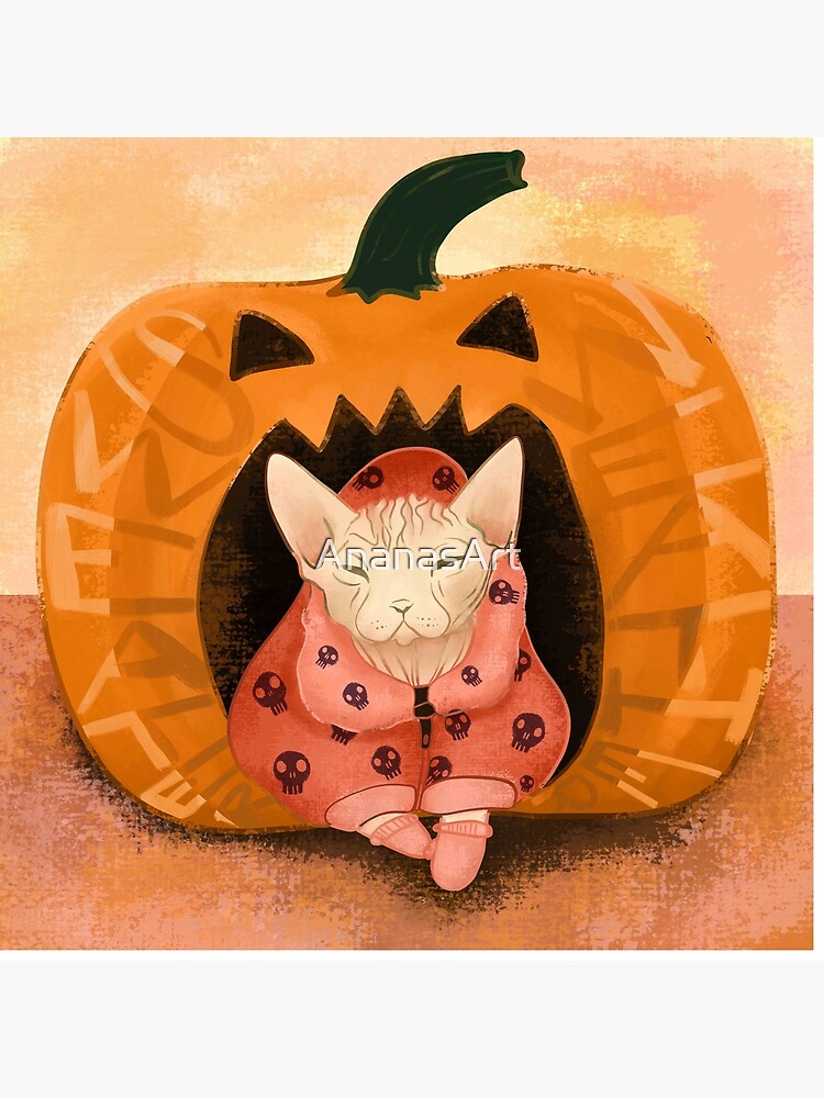 cat and pumpkin sweater