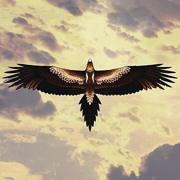 Artwork thumbnail, Wedge-Tailed Eagle - Australian Bird by Samuel Hardidge