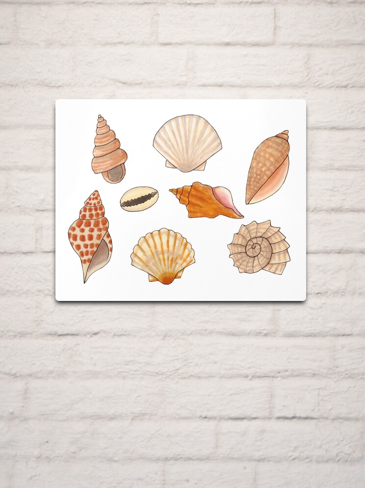 Cartoon seashells. Summer beach sea shells, underwater, ocea