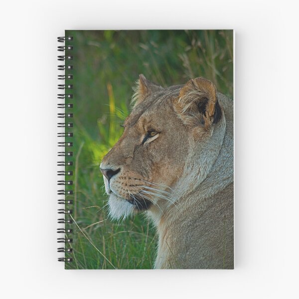 Artikelvorschau, Lioness Portrait v2 entworfen und verkauft von JMChown.