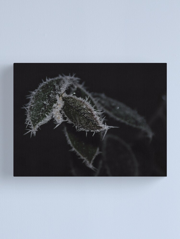 Alternate view of Frozen Leaves Canvas Print