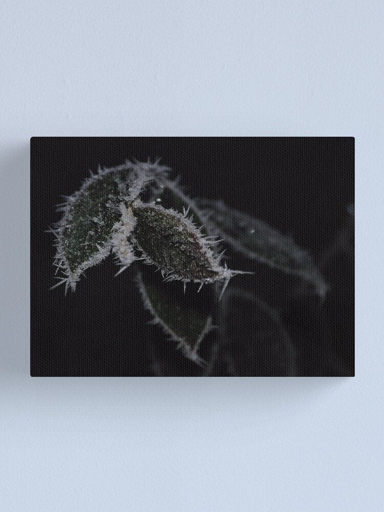 Alternate view of Frozen Leaves Canvas Print