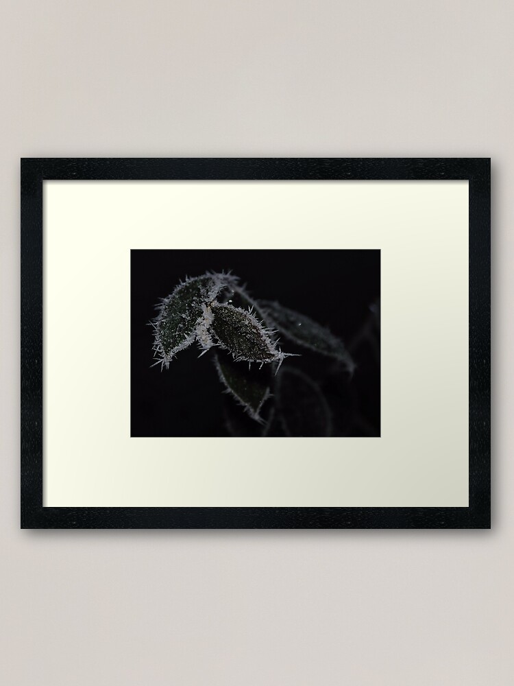 Alternate view of Frozen Leaves Framed Art Print