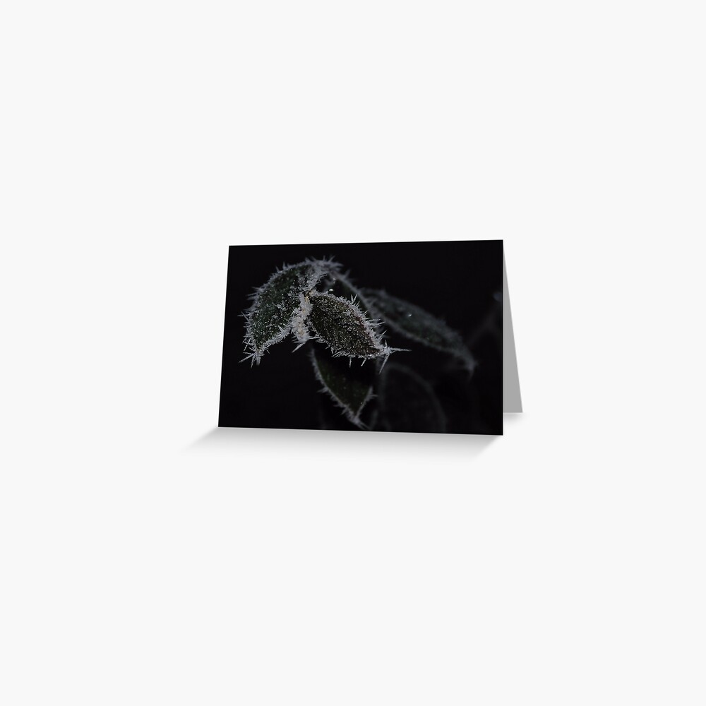 Item preview, Greeting Card designed and sold by pauleden.