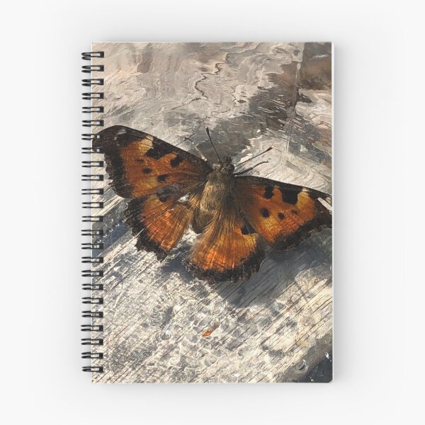 Item preview, Fall Moth designed and sold by Beau Gordon.